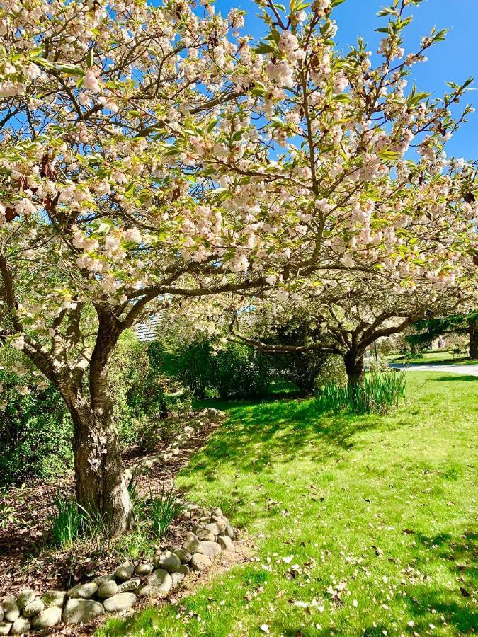 Newlands Bed And Breakfast West Melton Esterno foto
